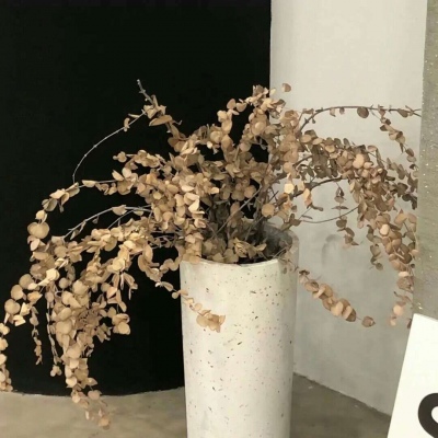 Furry兽设创作灵感FurryQQ群